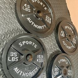Vintage/Reconditioned Olympic  Weights Plates  SPORT AUTHORITY : 45s, 35s, 25s, 10s & 5s . Brute#240