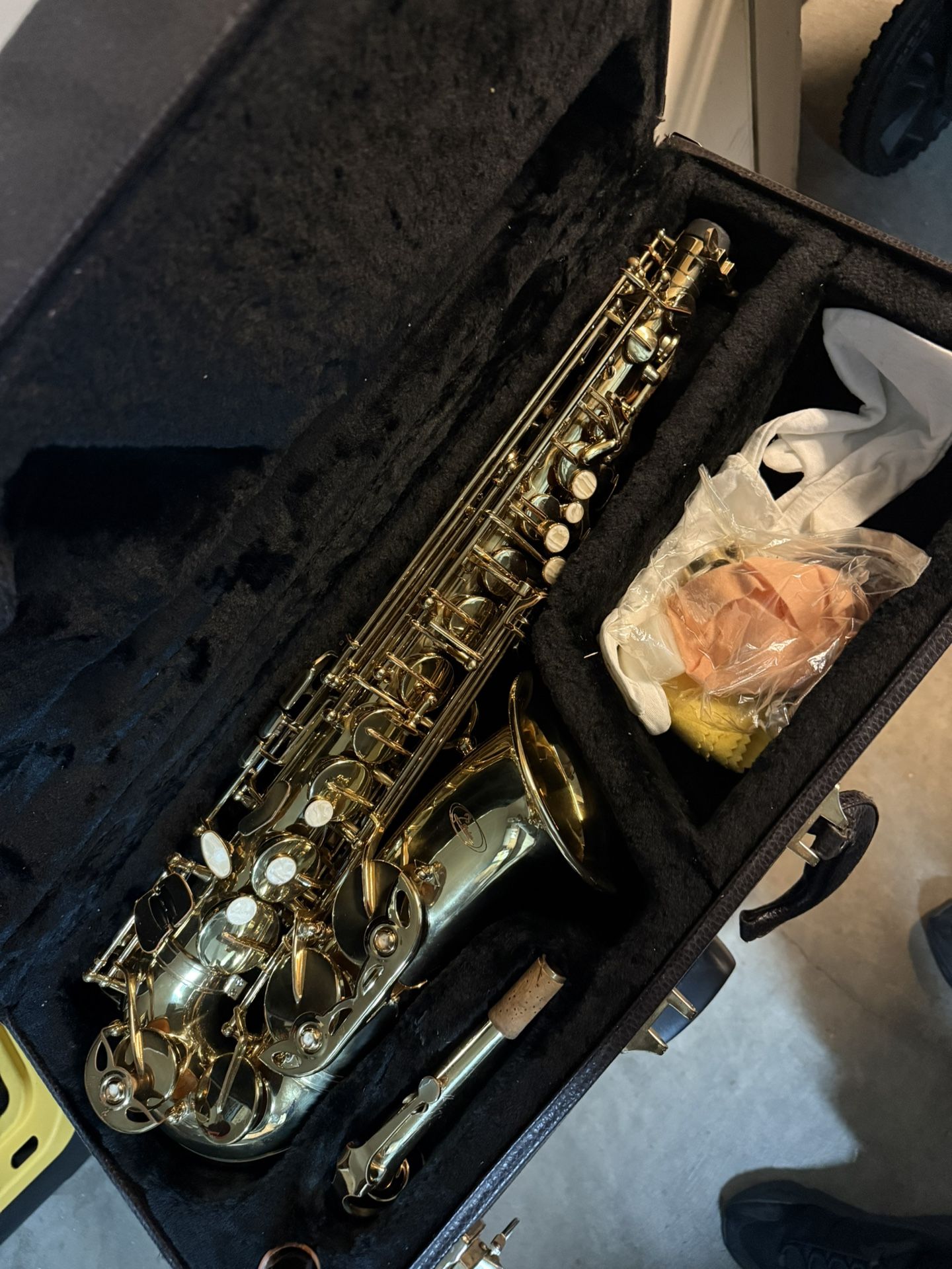 Palm Winds Alto Saxophone