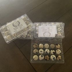 Fresh Quail Eggs 