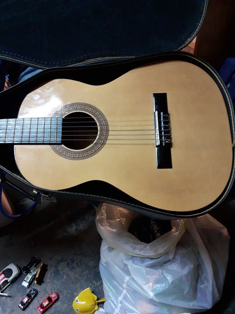 Guitar