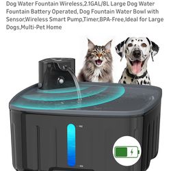 Dog water fountain