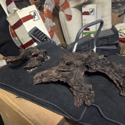 Aquatic Driftwood 