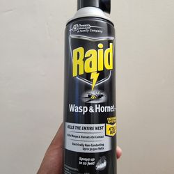 Raid Wasp And Hornet Spray