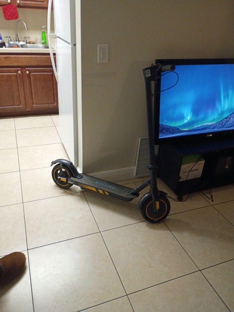 Hiqis Electric Scooter 