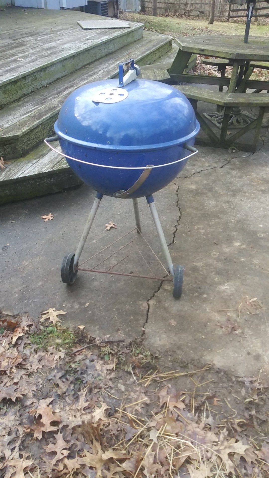 Blue Weber grill