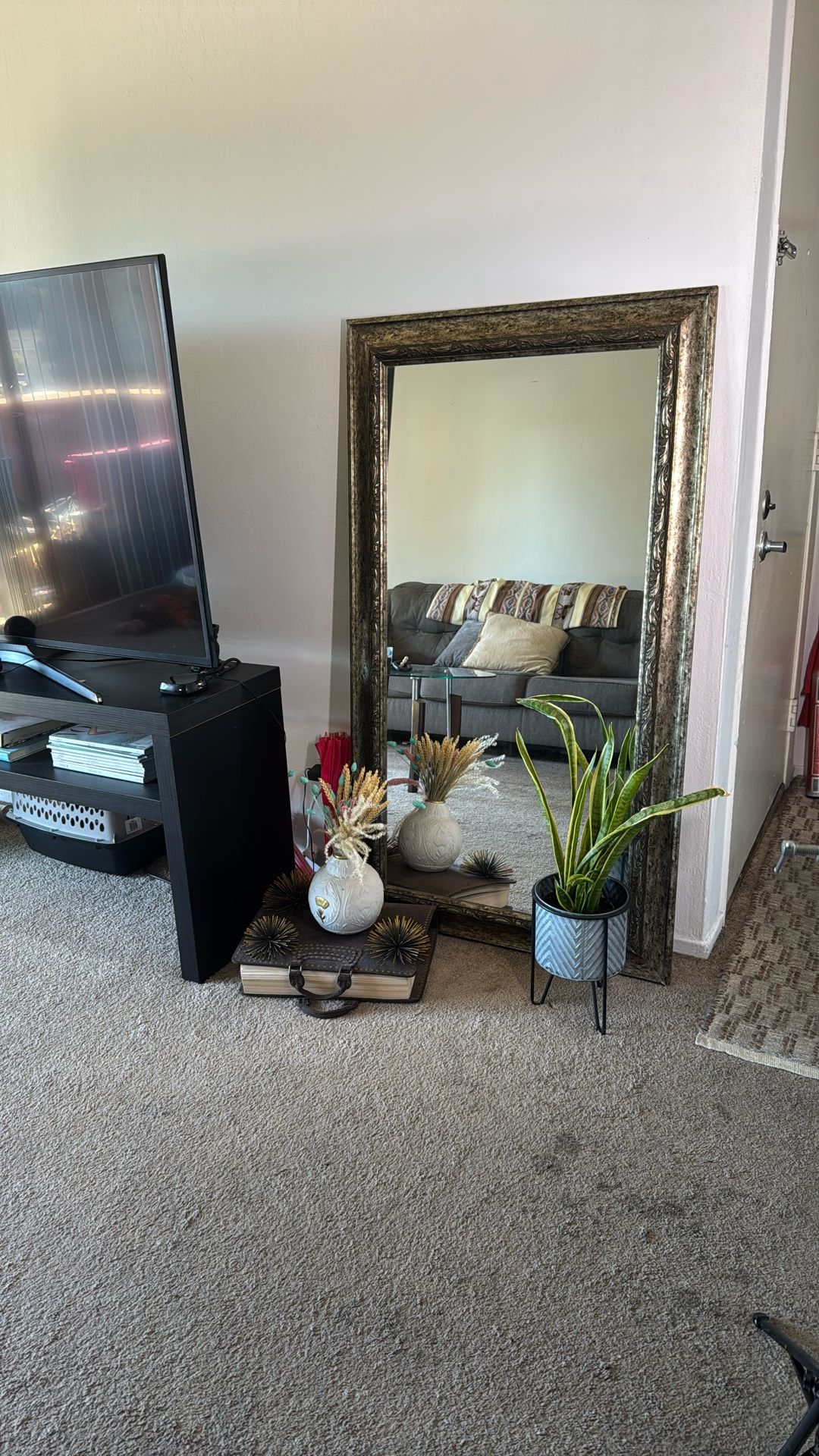 4 ft. Mirror $100