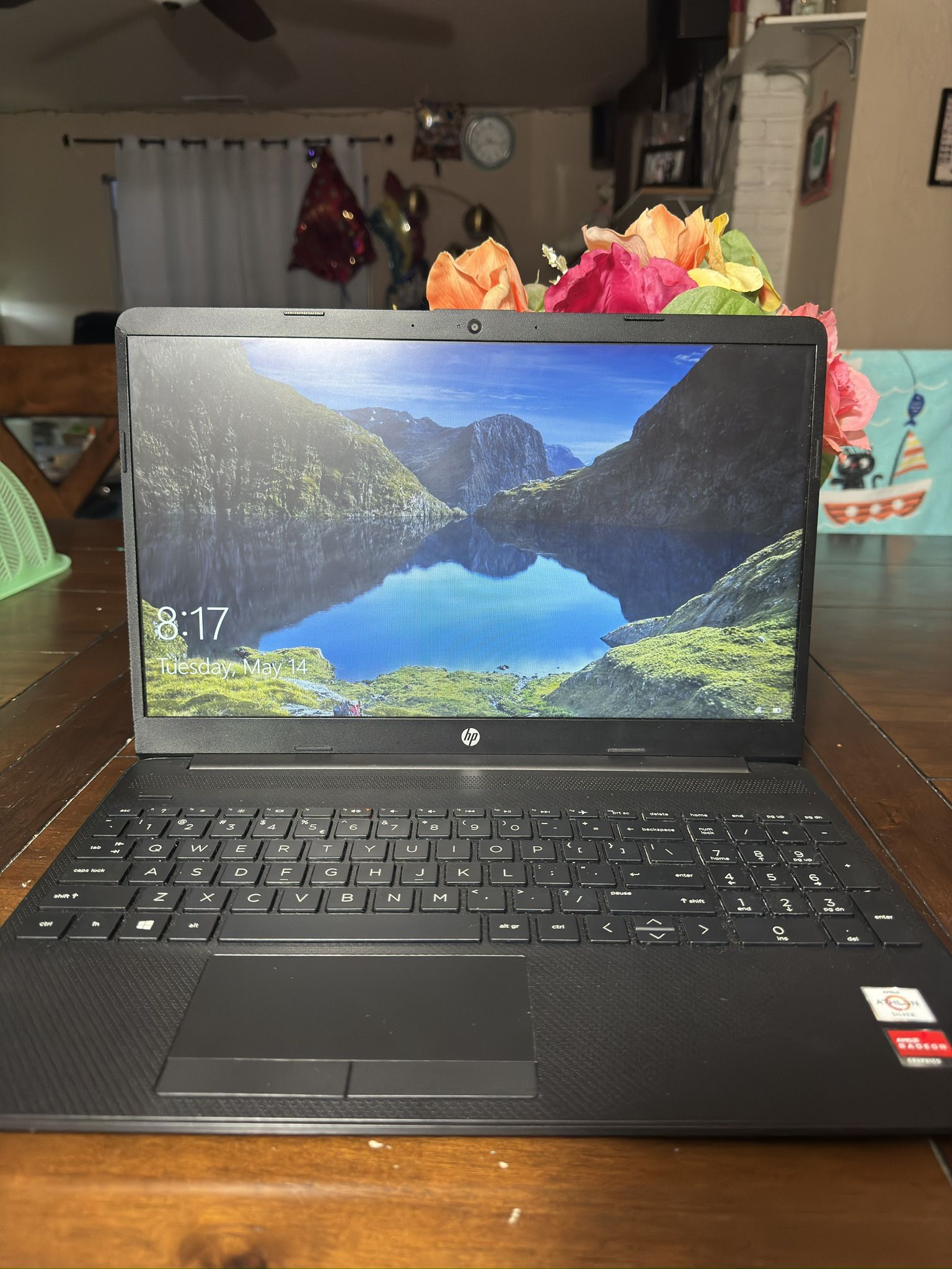 HP Laptop 14" AMD Athlon Silver 3050u 