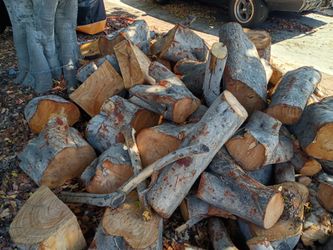 Free Fire Wood