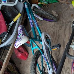 Girls Bike