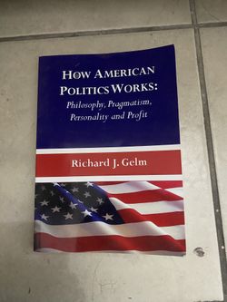 how american politics works
