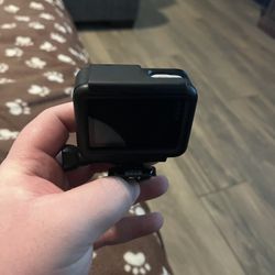 GoPro sptm1
