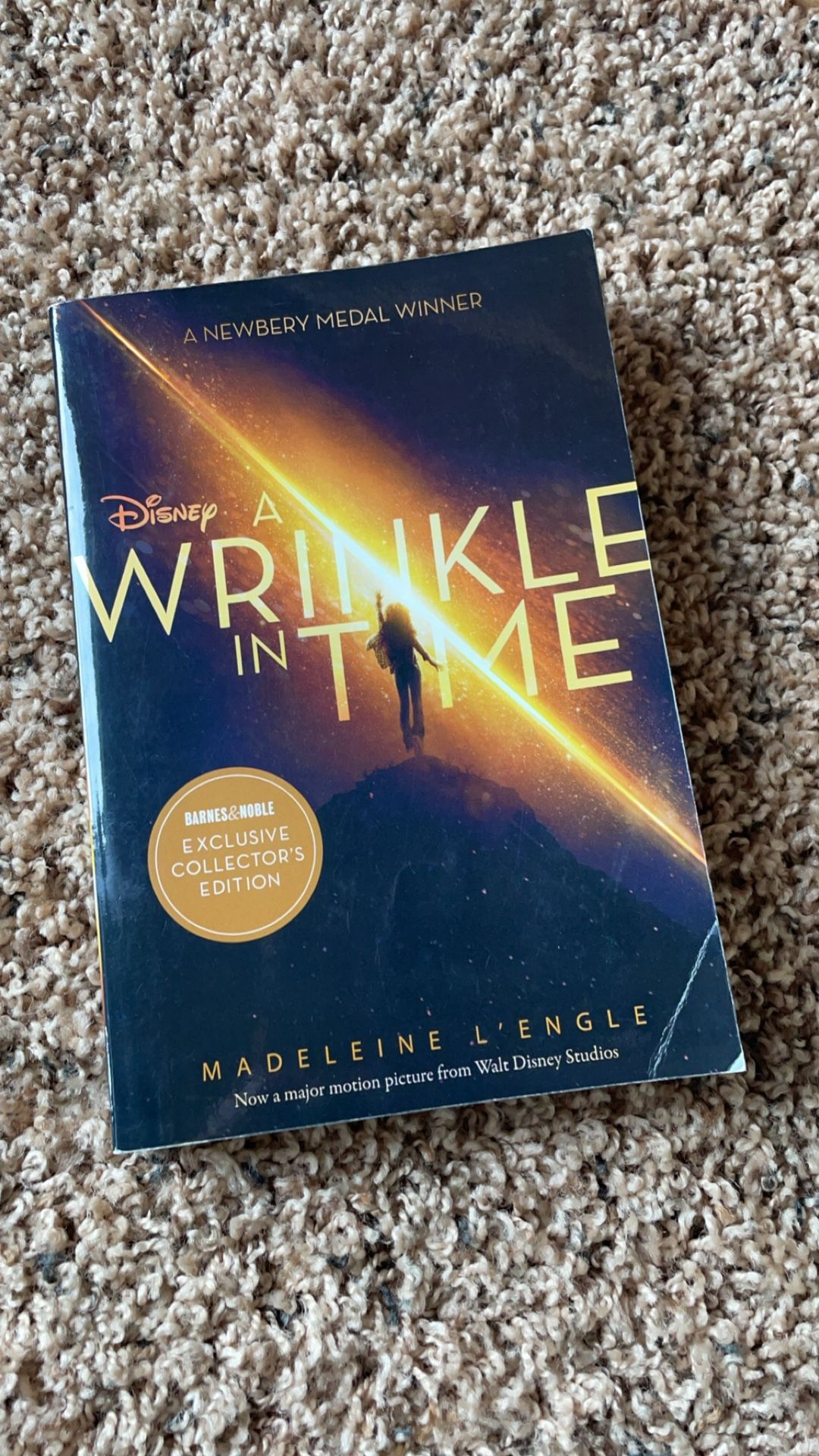 Wrinkle In Time Book 