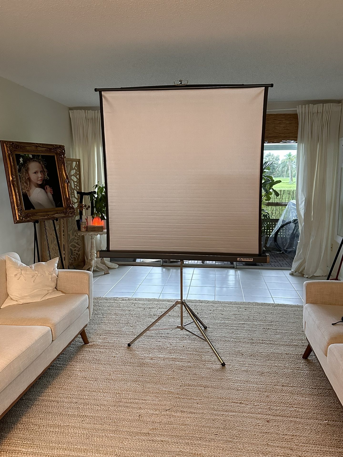 Screen Projection Screen