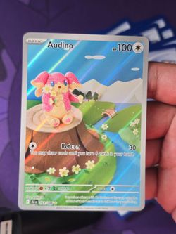 (IVM) audino ir