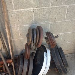 Gym Equipment 