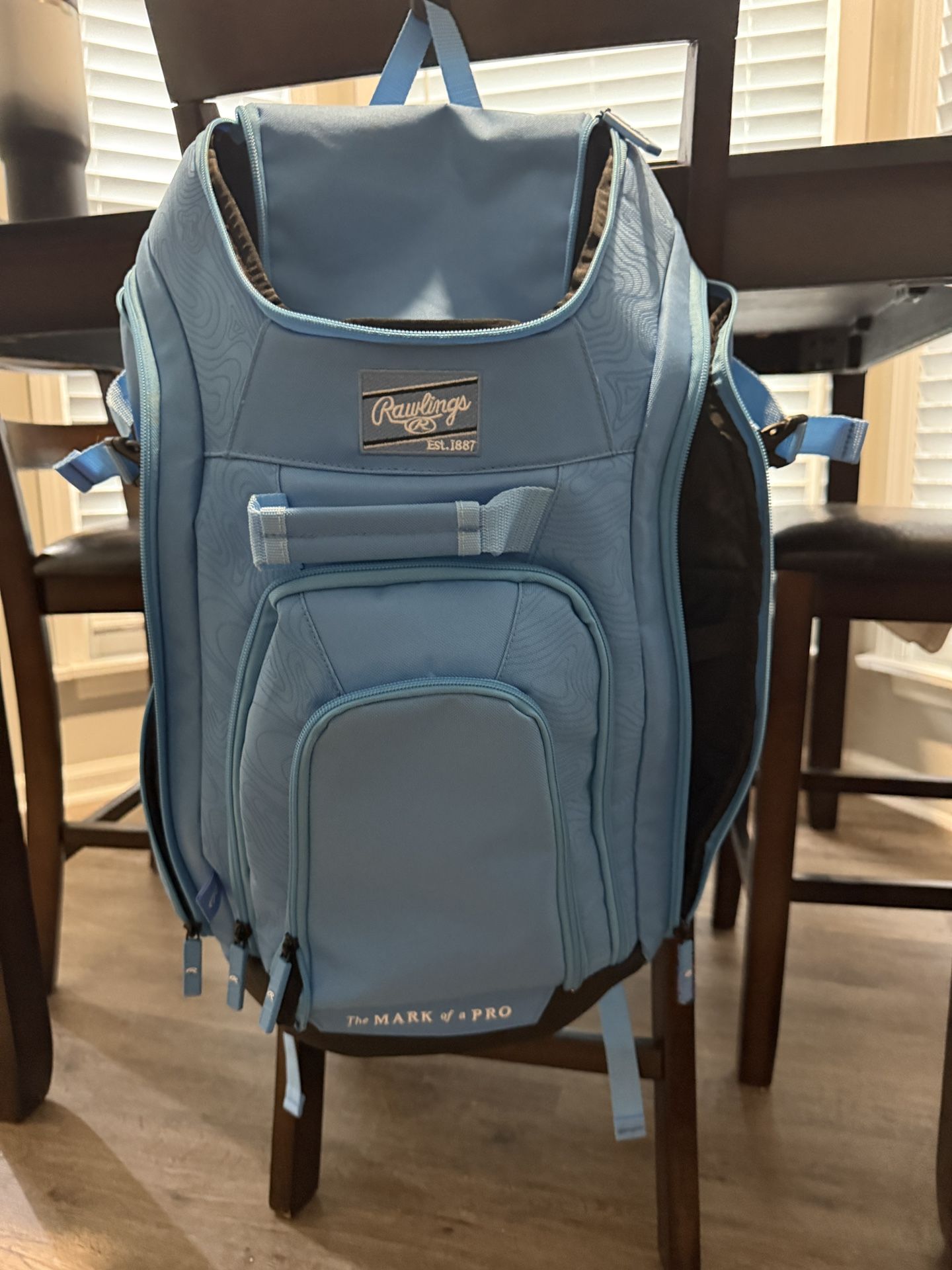 Rawlings Baseball/softball Bag