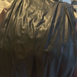 2 Express Skirts Brand New