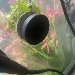 10 Gallon Full Bundle Sale 