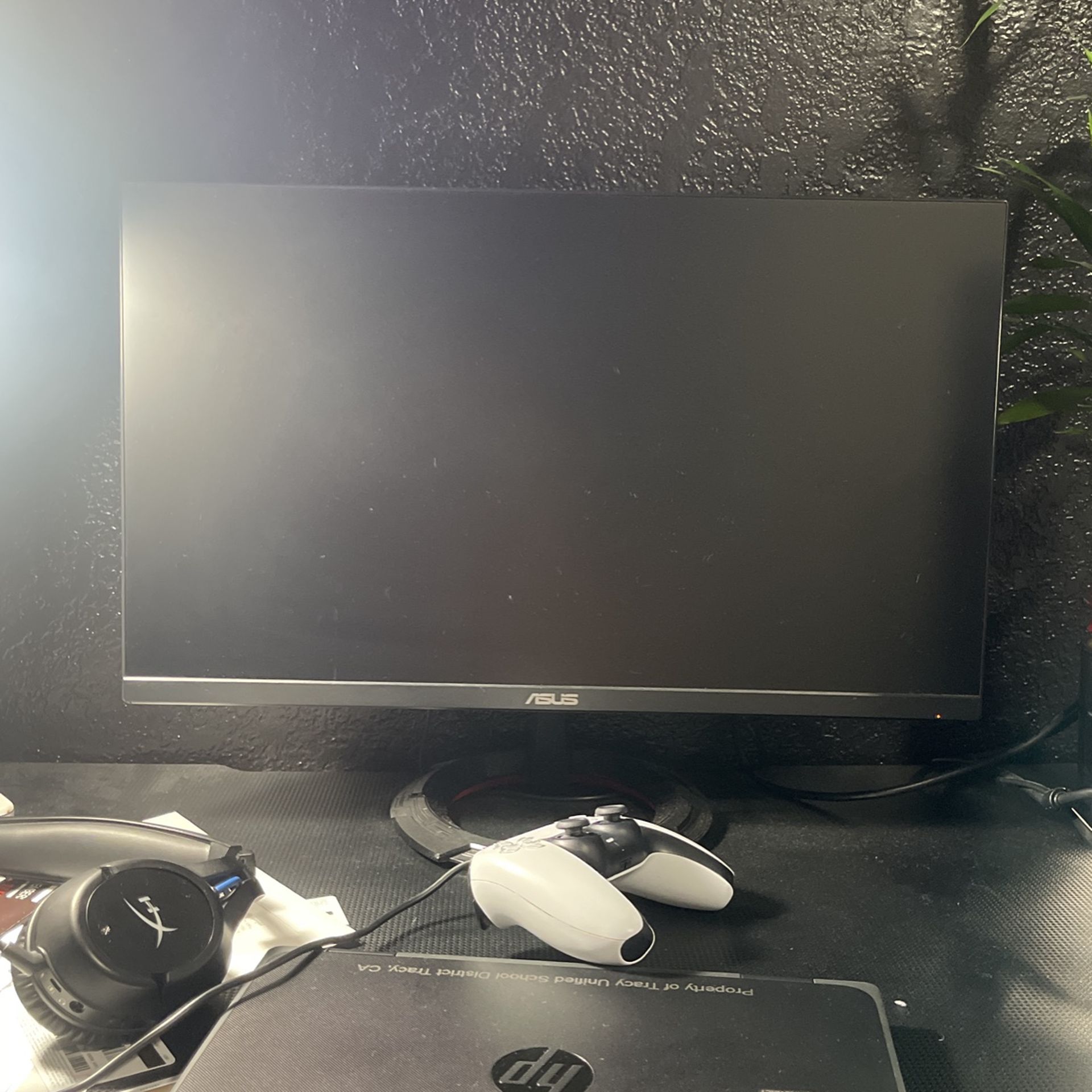 165hz, 1ms MPRT,  Gaming Monitor (1920x1080p)