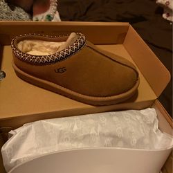 Brown TASMAN uggs