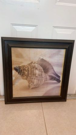 Shell frame