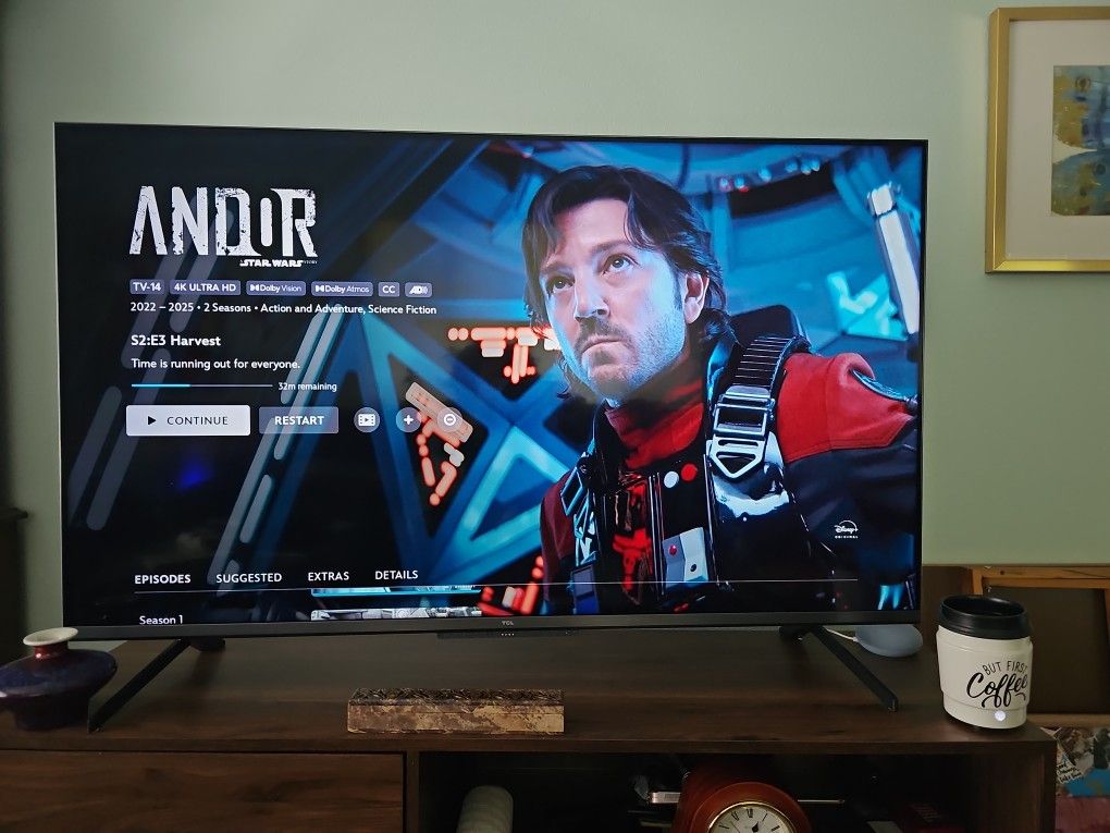 TCL 55" TV Needs To Go!