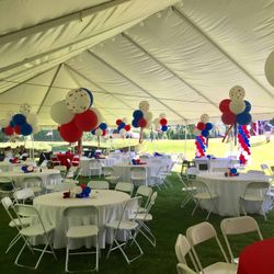 canopy/carpa