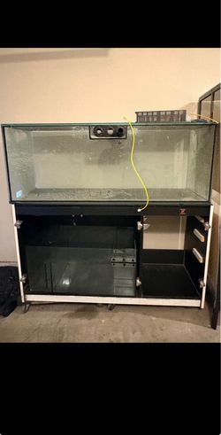100 gallon fish tank