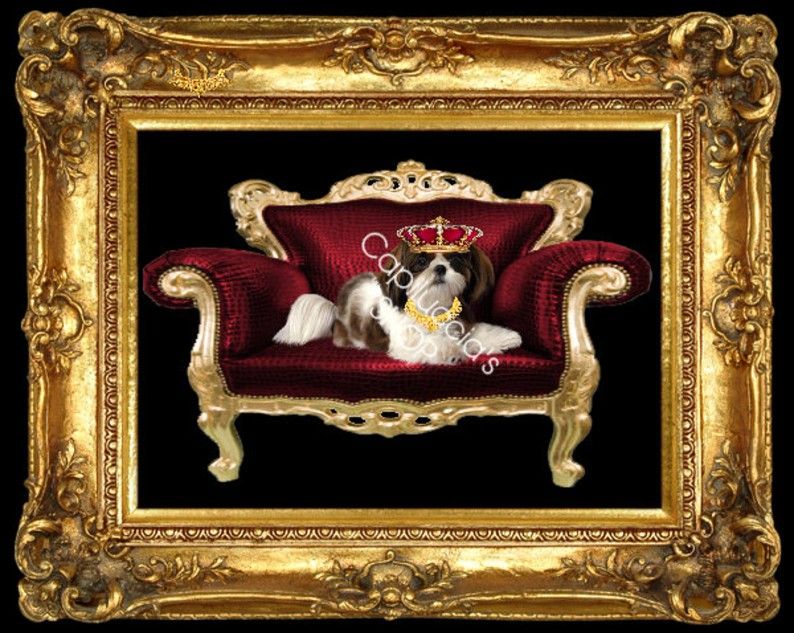 Custom Pet Portrait, Personalized Portrait from Photo, Dog Cat Portrait, Gift For New Pet, Pet Memorial, Funny, Dog Lover, Pet Illustration