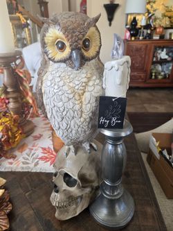New  battery operated owl  decor