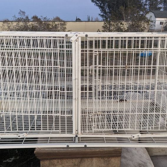 Animal Cages, Bird Cages, Cat Cages, Puppy Cages