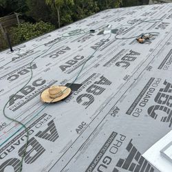 Roof Shingle 