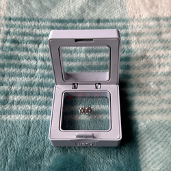 0.5 CT Moissanite Diamond Stud Earrings w/ GRA Certificate