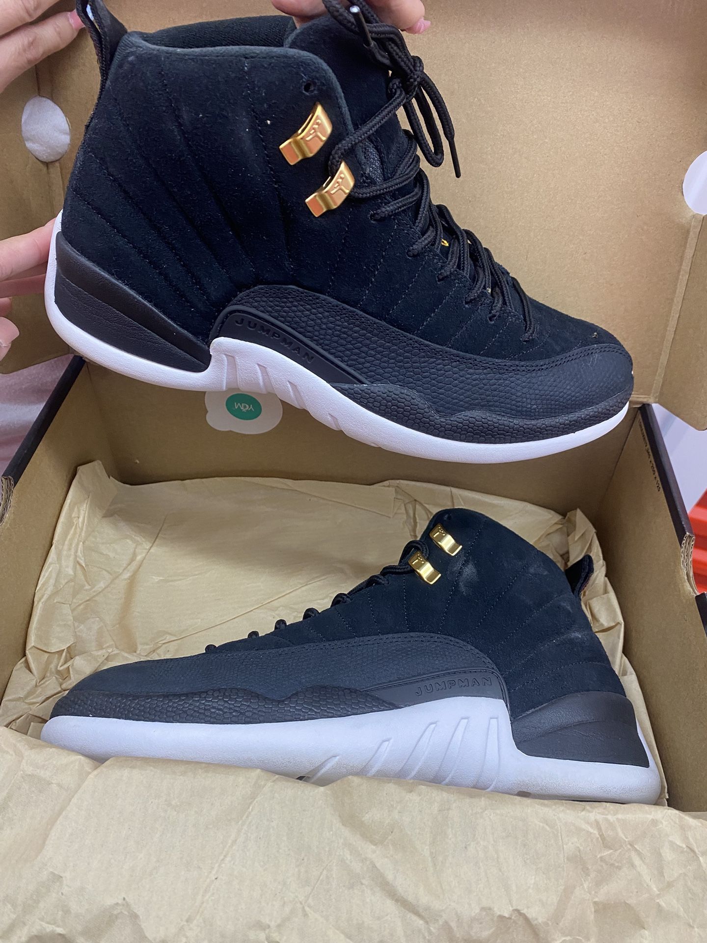 Air Jordan 12s Retro