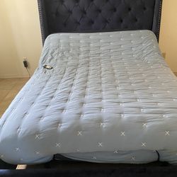 Navy Blue Queen Bed w/adjustable frame