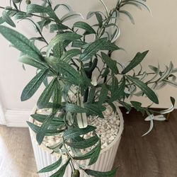 Artificial 🫒 Plant With Vase