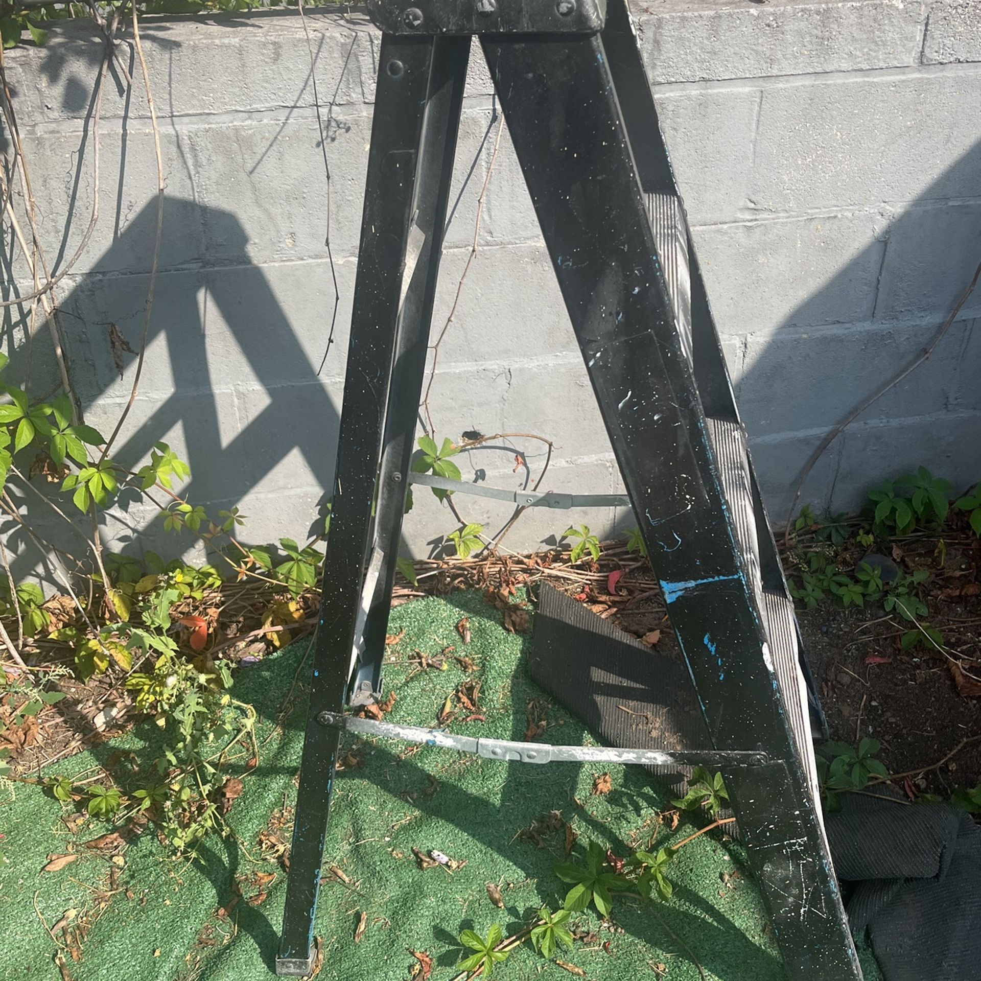 4Foot Werner Ladder