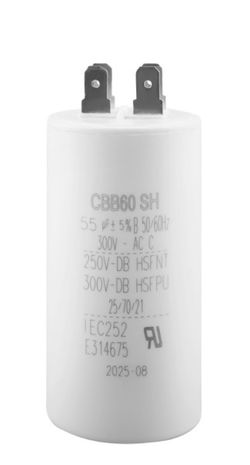 Capacitor