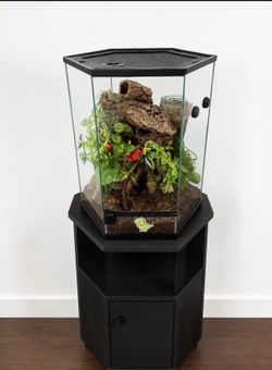 Thrive Vertical Hexagon Tropical Reptile Terrarium - 20 Gallon Size: 19.1"L × 16.6"W × 22.4"H