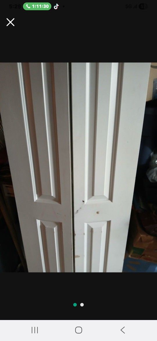 Foldable Closet Or Room Door 