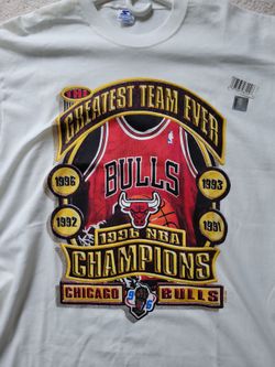 Vintage 96 Championship t-shirt 🔥