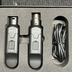 AITone A-MW2 Wireless Microphone System
