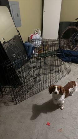 Dog Fence (dog not included)