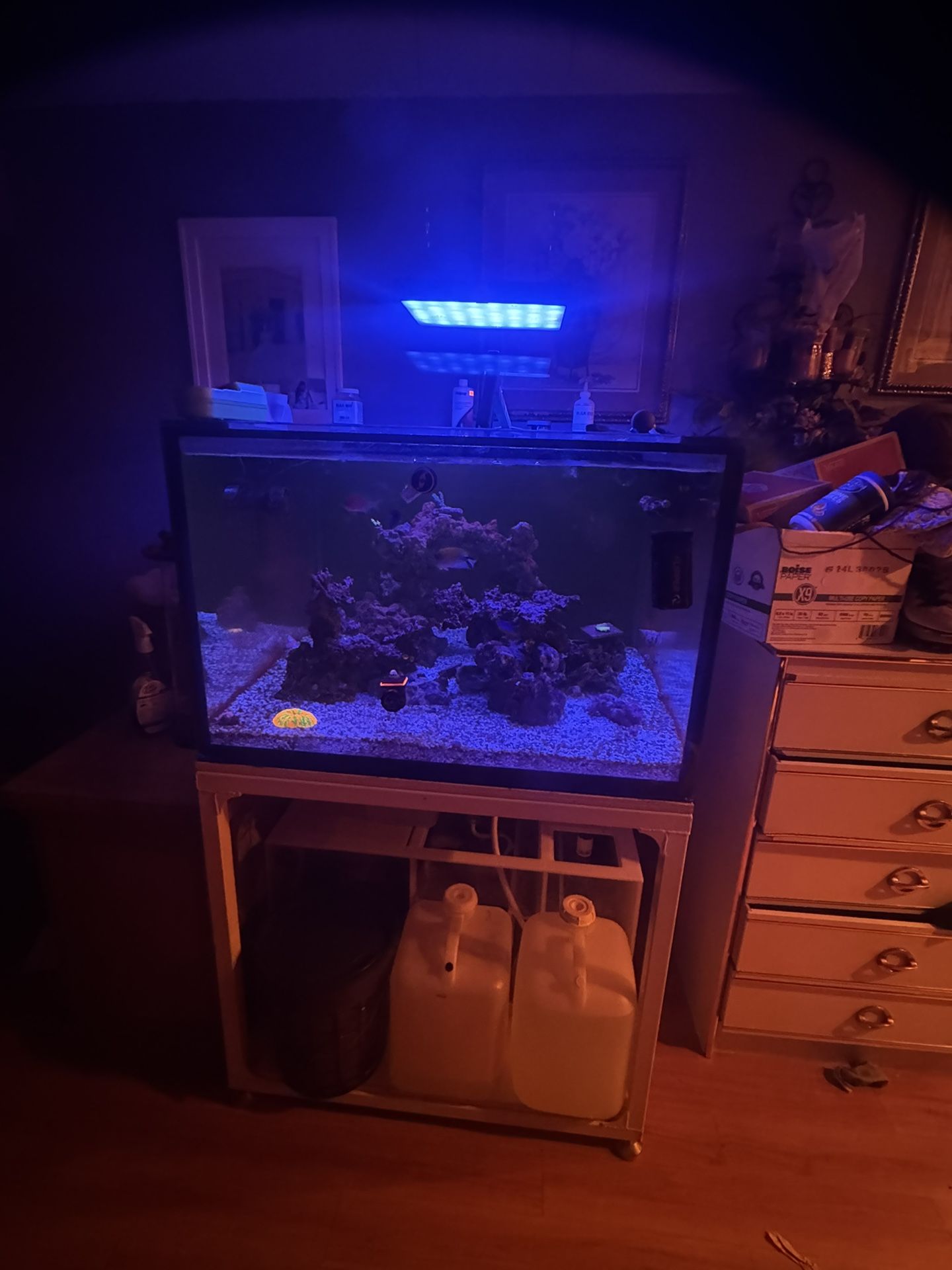 Fish Tank