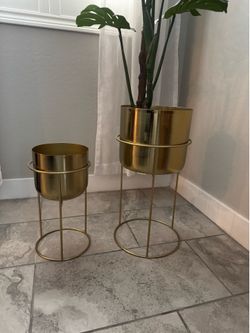 Two Gold Plant Stands