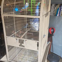 Live Parakeets With Cage