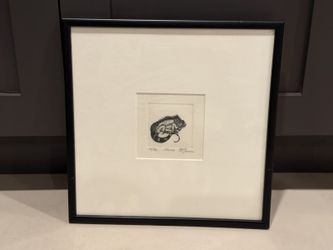 Framed Iguana Etching, Numbered 160/300, Signed