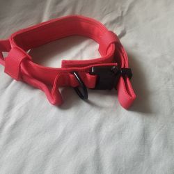 Dog Collar 