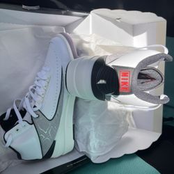 Retro Jordan 2 Pythons 
