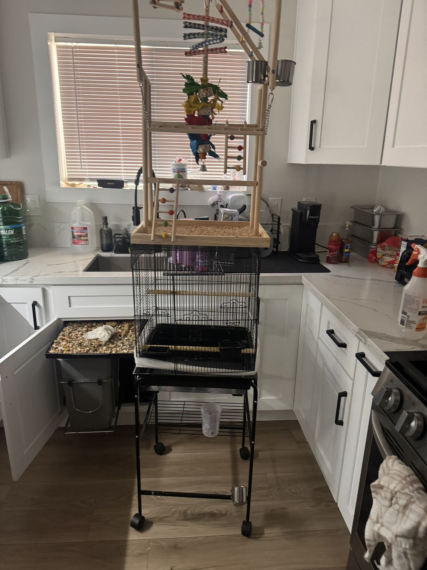 Bird Cage
